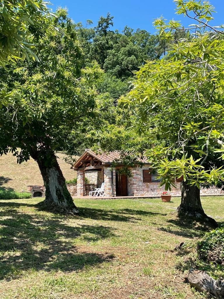 サッセッタ Casa Nel Boscoヴィラ エクステリア 写真